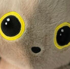 ₊‧꒰ა rin ໒꒱ ‧₊